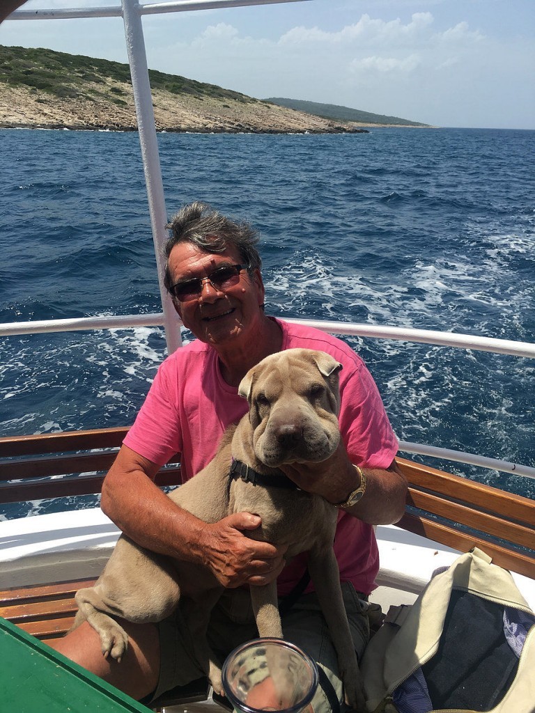Dog on boat