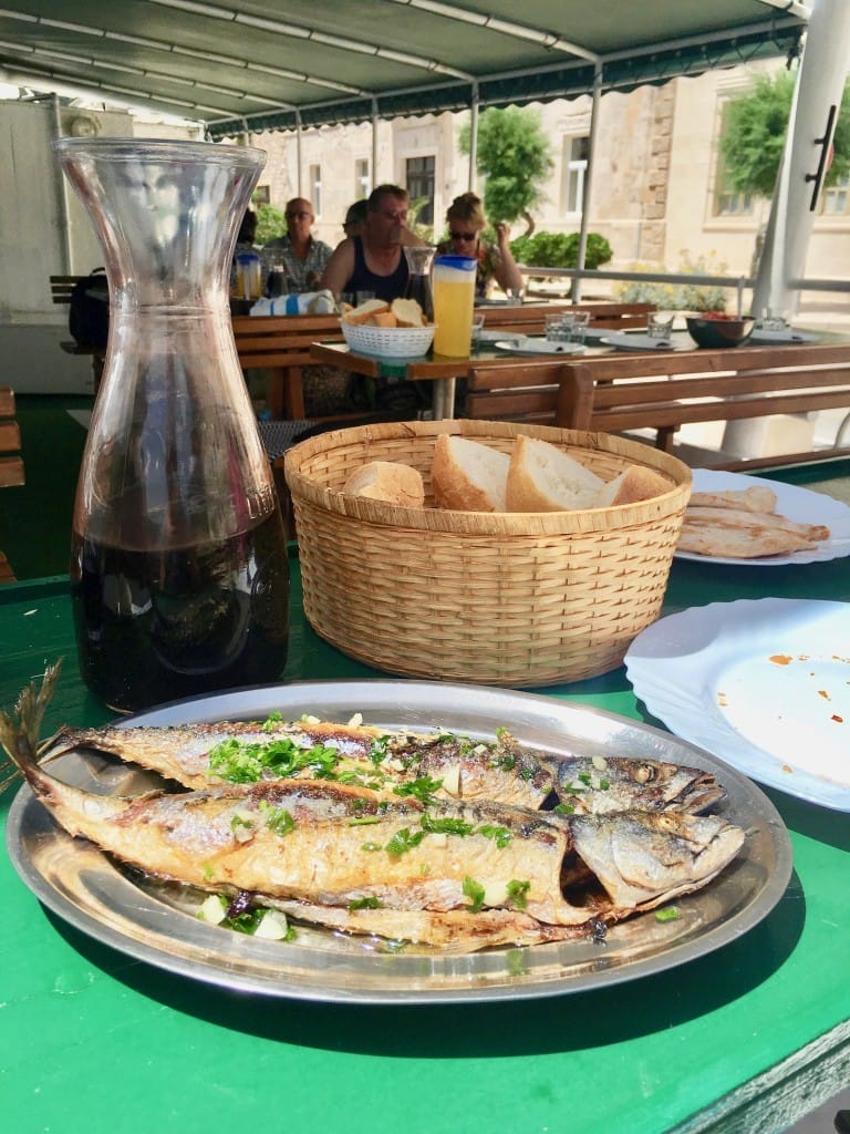 Fish picnic lunch