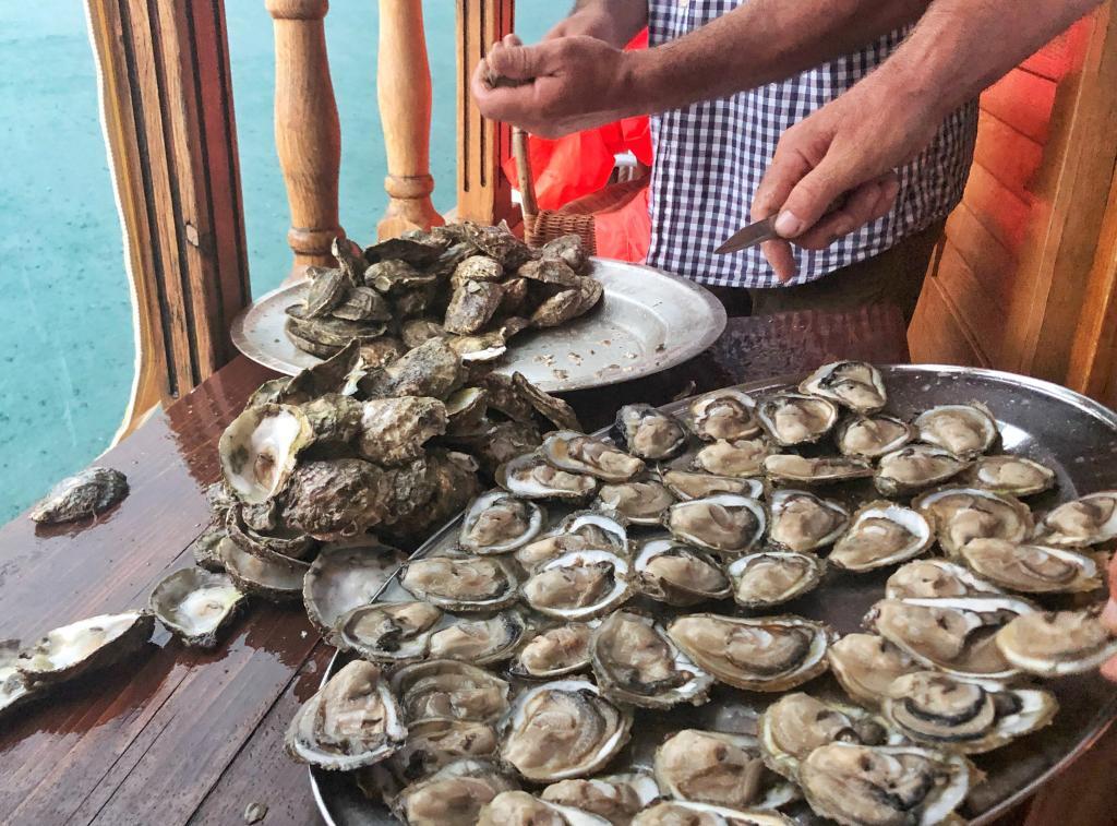 Freshly-shucked oysters in Mali Ston.
